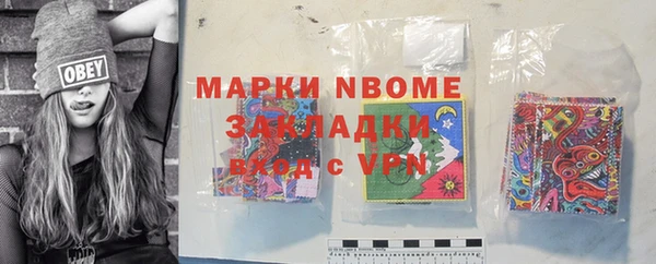 прущие грибы Заволжск