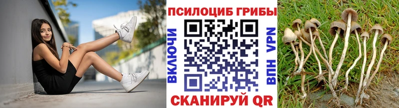 omg вход  Шебекино  Псилоцибиновые грибы Magic Shrooms 