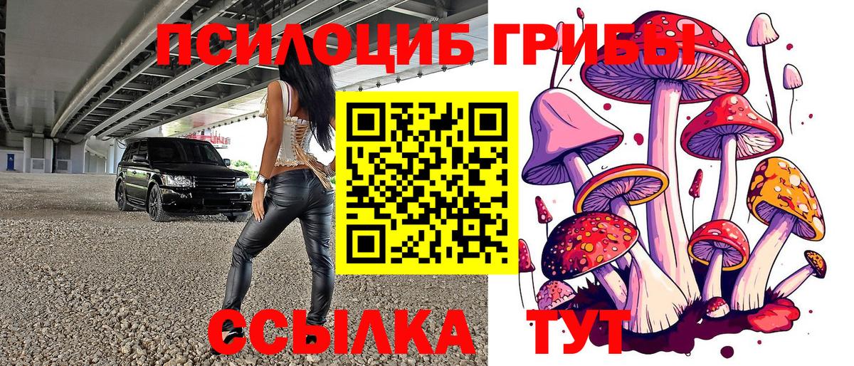 Псилоцибиновые грибы ЛСД  Вход с VPN  Шебекино 